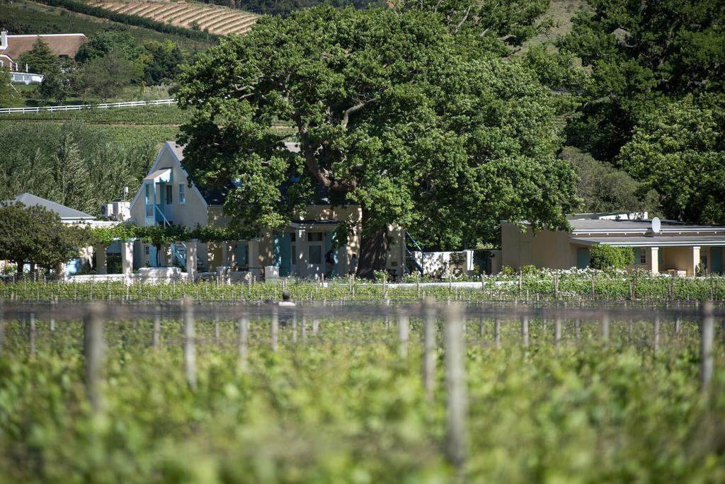 פרנצ'הוק Auberge Clermont מראה חיצוני תמונה