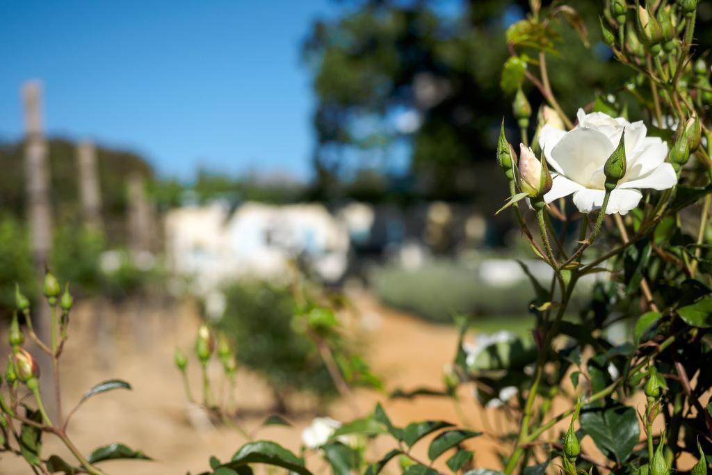 פרנצ'הוק Auberge Clermont מראה חיצוני תמונה