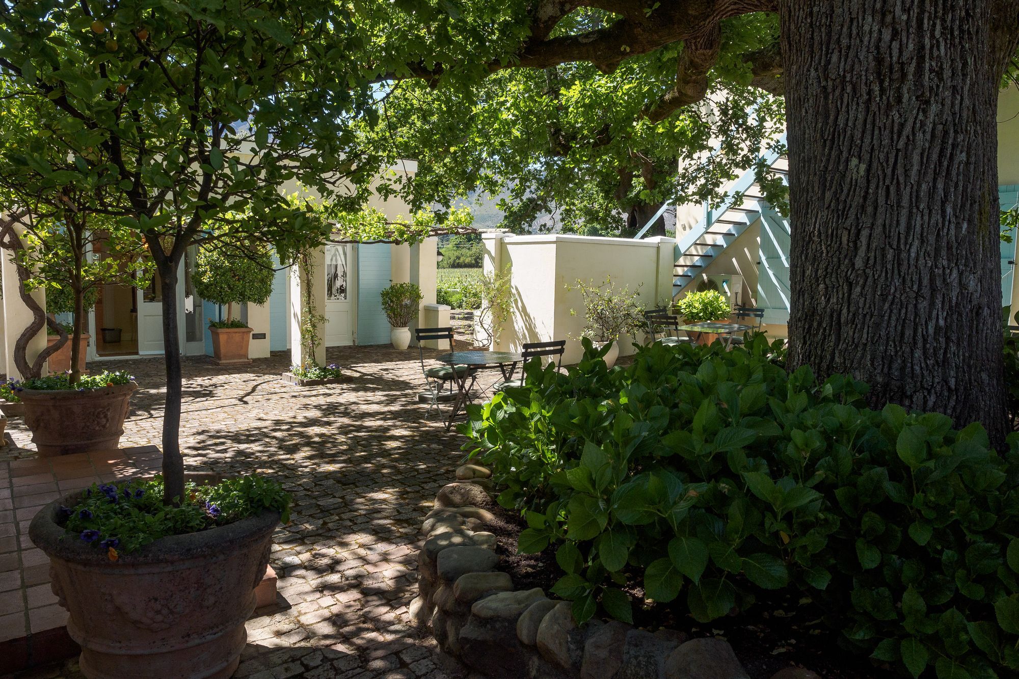 פרנצ'הוק Auberge Clermont מראה חיצוני תמונה